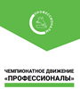 Старт в чемпионате «Профессионалы»